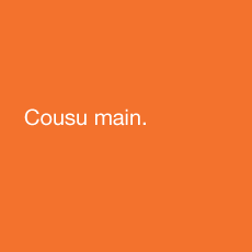 Cousu main